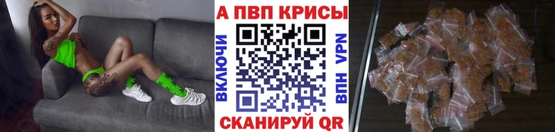 A PVP СК КРИС  Сухиничи 