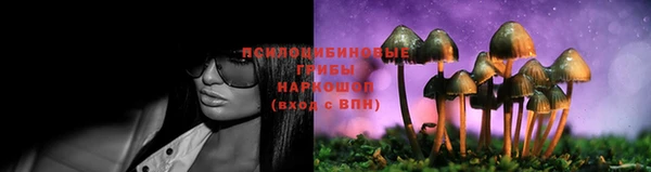 соль ск Алексин