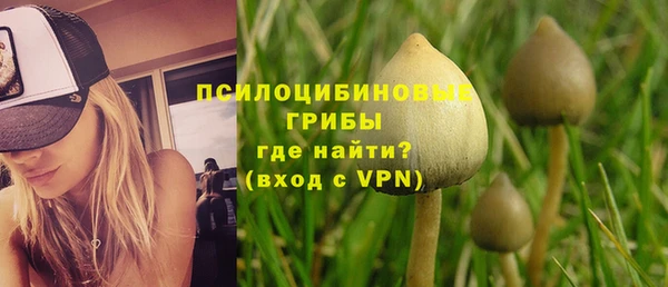 ГАЛЛЮЦИНОГЕННЫЕ ГРИБЫ Михайловск